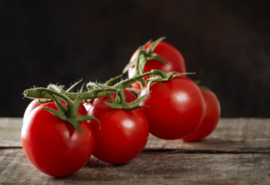 猫咪十大禁忌水果有哪些？