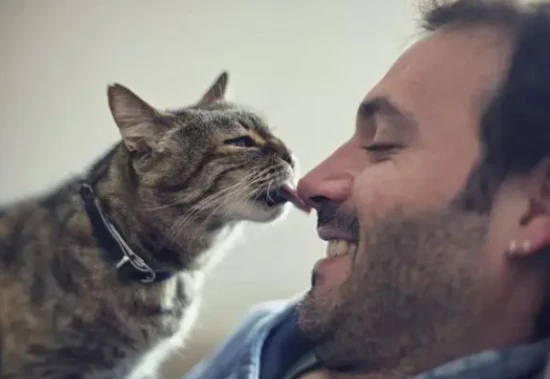 When a cat licks you, it doesn't necessarily mean it loves you; it's just expressing these other meanings.