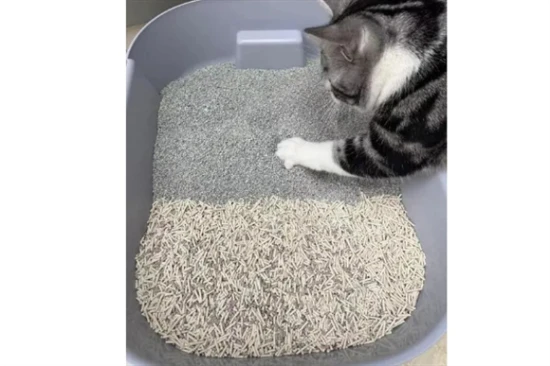 Do I need to throw away all the old cat litter when changing it?