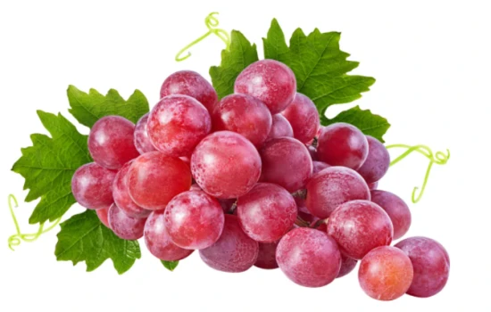 What are the top ten fruits that cats should avoid?