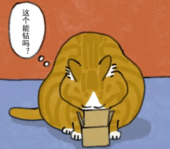 小猫咪为啥喜欢纸箱？