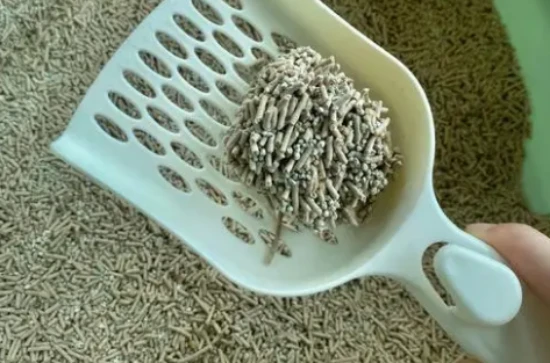 Should I keep adding more cat litter or just replace it with new litter?