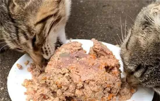 Cat food preparation