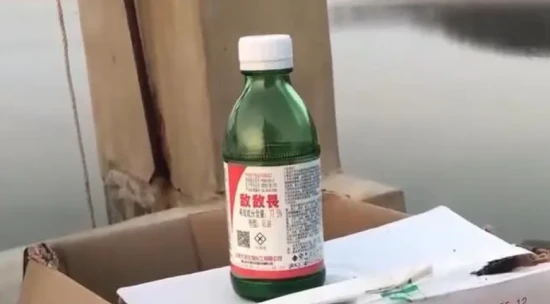 Is it okay to spray dichlorvos on a cat?