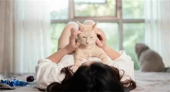 Top 10 Foods to Avoid for Cats