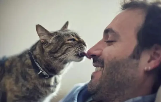 It's not a good thing if your cat keeps licking your face.