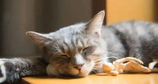 The cat kept making gurgling sounds in its throat.