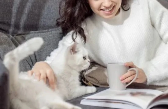 猫咪喜欢什么样的玩具？