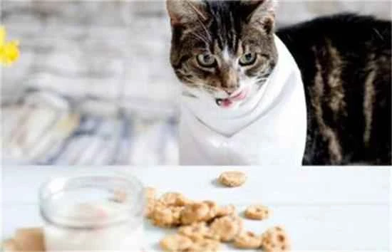 Does better cat food make cat poop smellier?