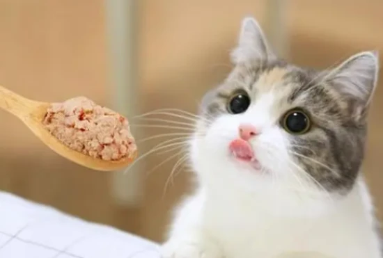 Should I give my 2-month-old kitten hairball remedy? How do I use hairball remedy?