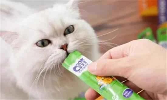 How often should you feed your cat treats?