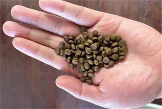 The difference between cat food and dog food