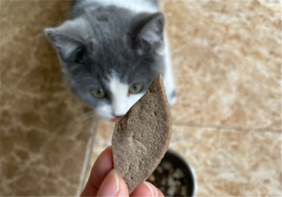 Can cats eat pork liver?