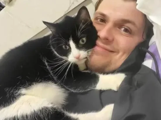 Why do cats not like to sleep with people?