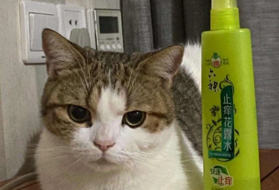 Is Liushen Floral Water safe for cats?