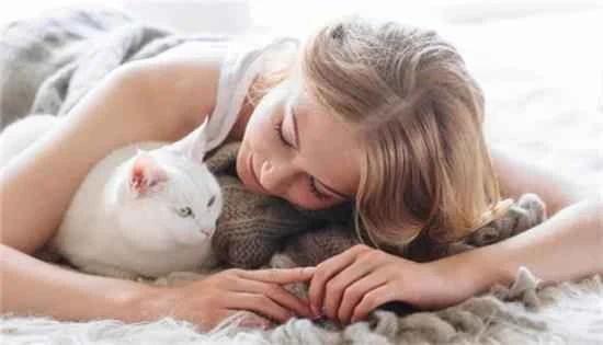 养猫会带来哪些运气表现？