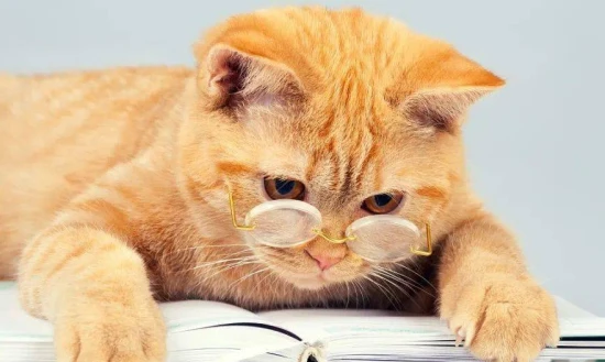 Are cats nearsighted?