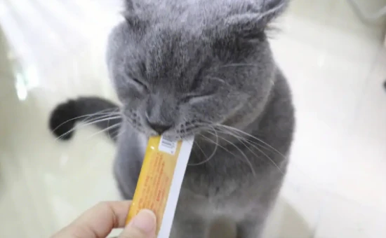 How many cat treats can a cat eat in a day?