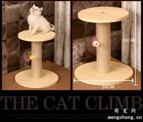 Common cat tree styles and product features