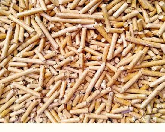 Cat care tips: Precautions for using pine cat litter