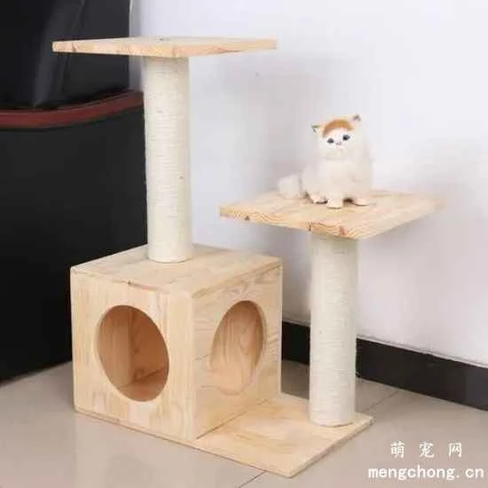 How to dry clean a cat tree? Cat trees can easily harbor bacteria.