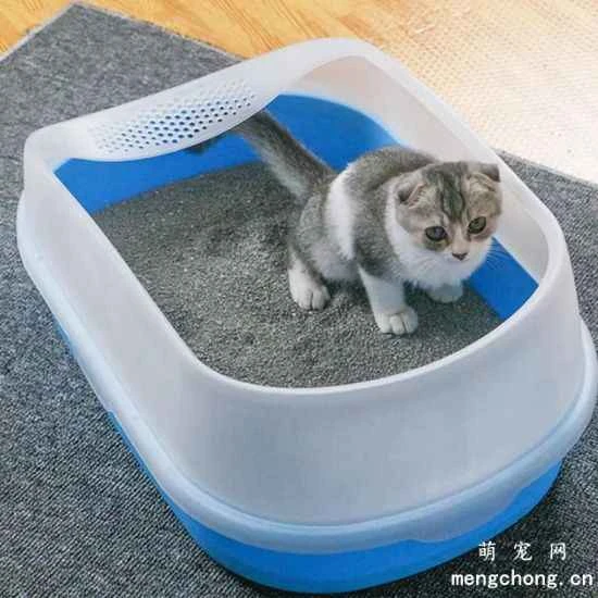 Is your litter box in the right place? Rules for placing a litter box.