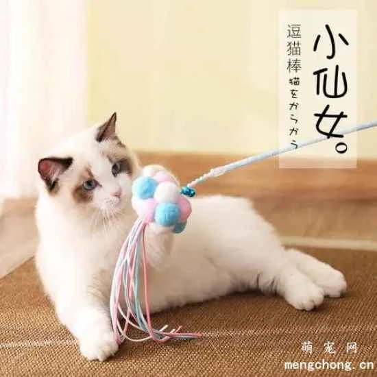 Several tips for using a cat toy