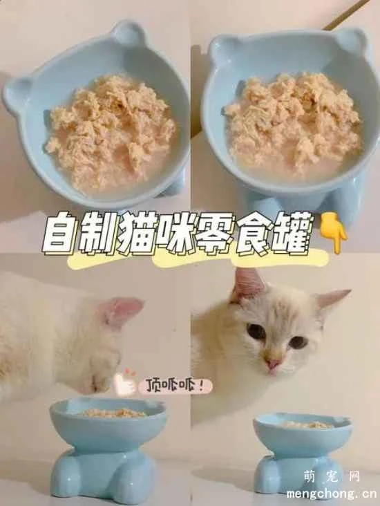 How to make delicious homemade cat food